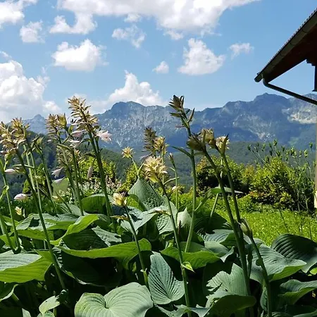 Tatil Evi Ewinger Bad Goisern