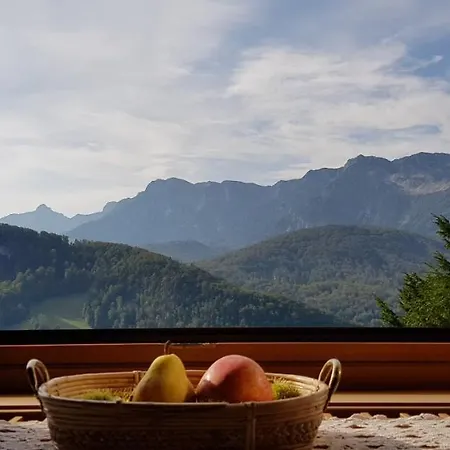 Tatil Evi Ewinger Bad Goisern